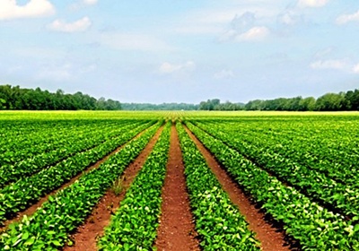 Transforming farm buildings into rural homes