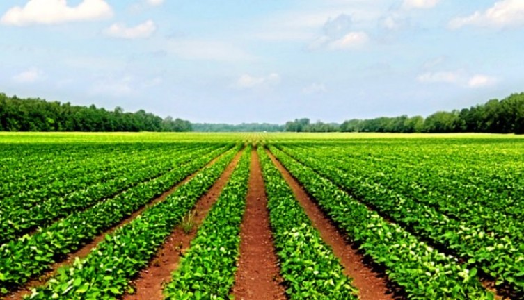 Transforming farm buildings into rural homes